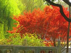 -上海交通大学(闵行校区)