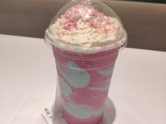 -飞行喵MR PILOT|猫舍·猫咖(静安大融城店)
