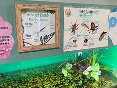 -上海大自然野生昆虫馆(东方明珠·爬宠昆虫探索中心)