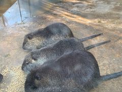 -昆明动物园