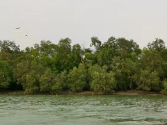 -吉隆坡雀鸟公园