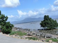 -福田红树林生态公园