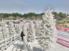 -盈香心动乐园