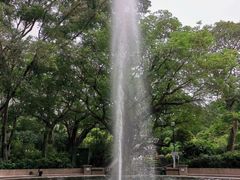 -九龙公园