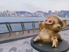 -星光大道