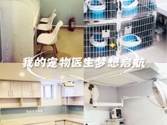 -纳吉亚猫专科动物医院·北北分院