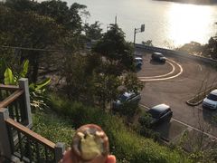 -金盆阿嬷香菇茶叶蛋(玄光店)