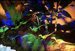 -恐龙探索乐园(磁器口店)