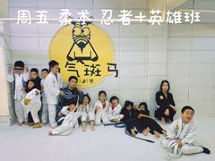-勇气斑马·巴西柔术&跆拳道(浦东三林店)