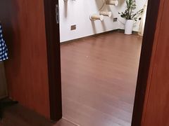 -楼上猫咖(罗湖店)