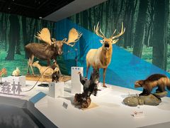 -中国湿地博物馆