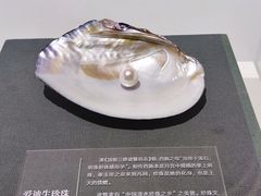 -诸暨博物馆