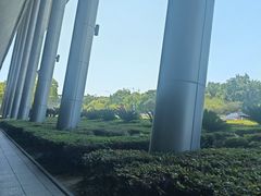 -常州奔牛国际机场