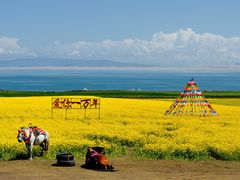 -青海湖国家重点风景名胜区