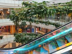 -凯德广场(学府店)