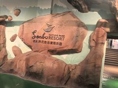 -杭州开元森泊度假乐园