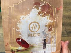 -海底捞火锅(高新活力城Villgae店)