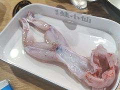 -铭记蛙小仙·活蛙畅享(CBD万达广场店)