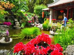 -白家大院·王府宫廷菜(苏州街店)