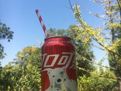 -艾溪湖湿地公园