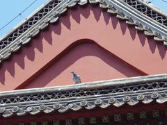 -莲池书院博物馆