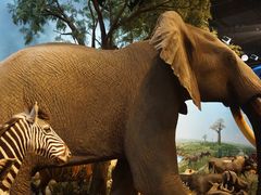 -陕西自然博物馆