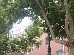 -天津美术学院-校史馆