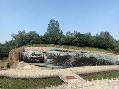 -三水森林公园