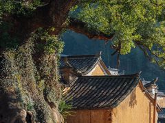 -杨家堂村