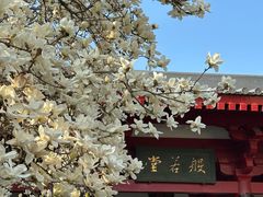 -大慈恩寺(大雁塔)