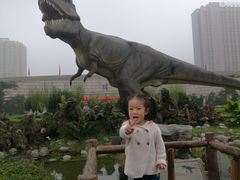 -陕西自然博物馆