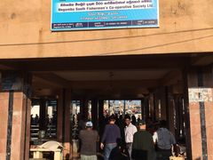 -尼甘布海鲜市场