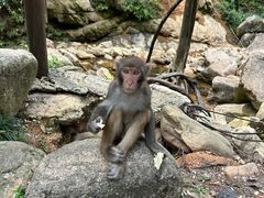 -姑婆山旅游区