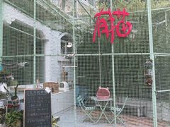 门面-有猫主题·治愈系猫咖(曾厝垵店)