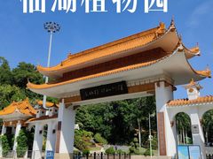 -深圳市中科院仙湖植物园