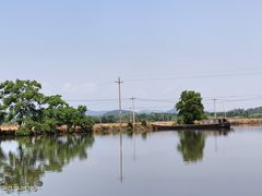 -白塔湖国家湿地公园