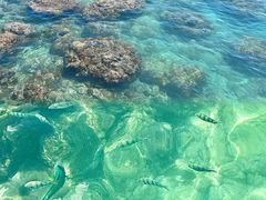 -三亚西岛海洋文化旅游区