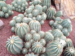 -南通洲际绿博园