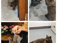 -花间烘焙BLossom Bakery