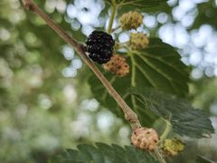 -南戴河国际娱乐中心