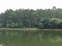 -南国桃园旅游度假区