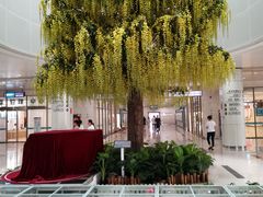 -南方医科大学深圳医院