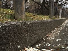 -名古屋城