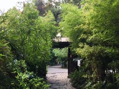 -香园自助小火锅