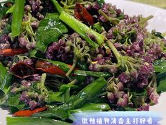 炒奶浆花-广益饭店·云南菜·传统滇菜(翠湖北门书屋店)