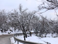 -四明山国家森林公园