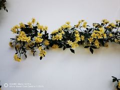 -月栖华明-云间草堂清茶馆(泗泾古镇店)