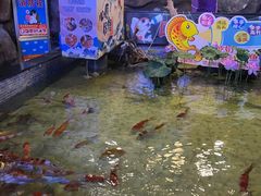 -烟台海昌鲸鲨海洋公园