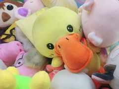 -季季红火锅(动壹店)