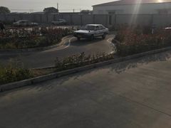 -安飞驰驾校·学车连锁(金高店)